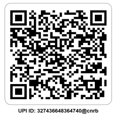 Payment QR Code